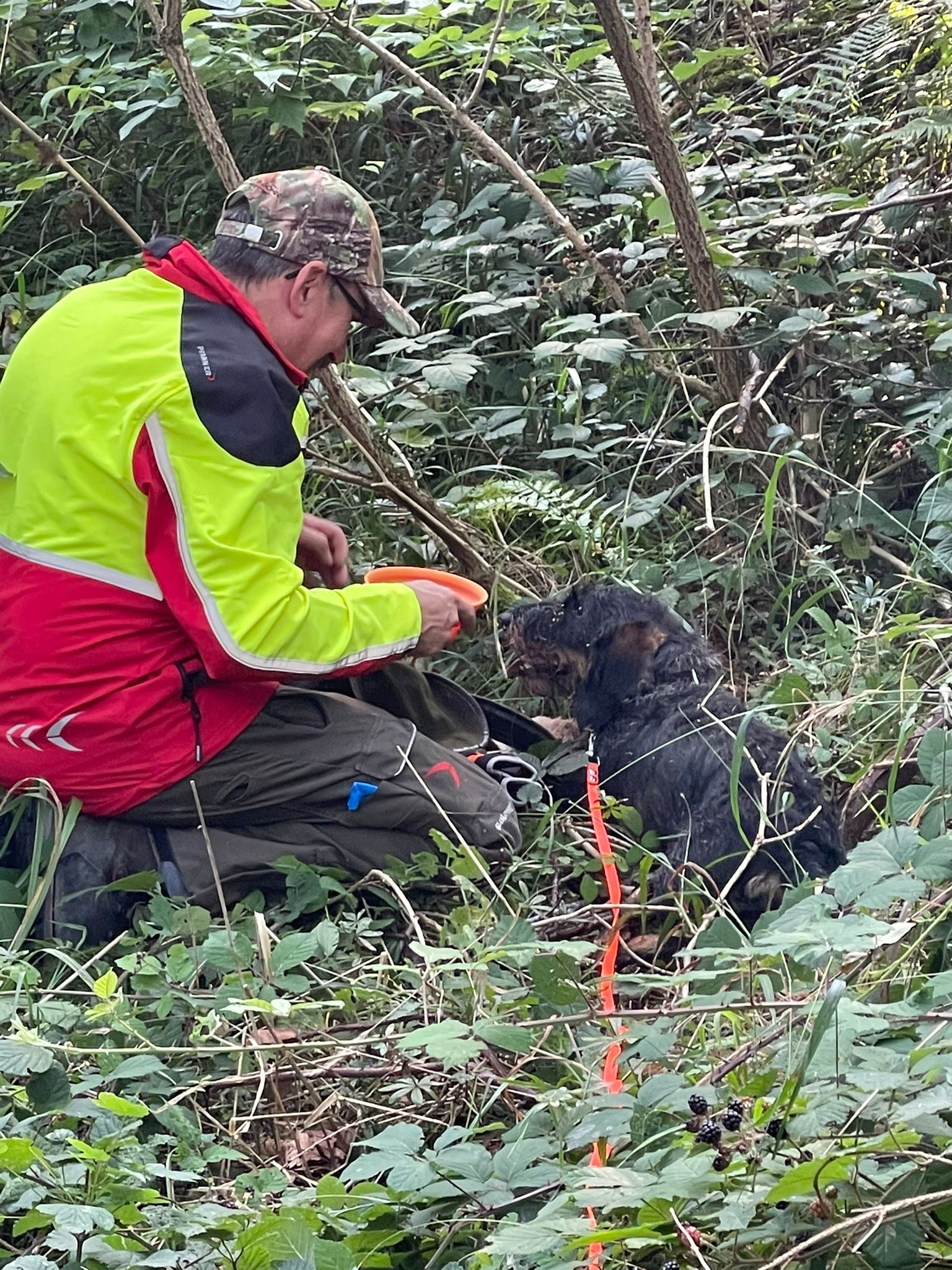 Die stille Sprache zwischen Hund und Mensch